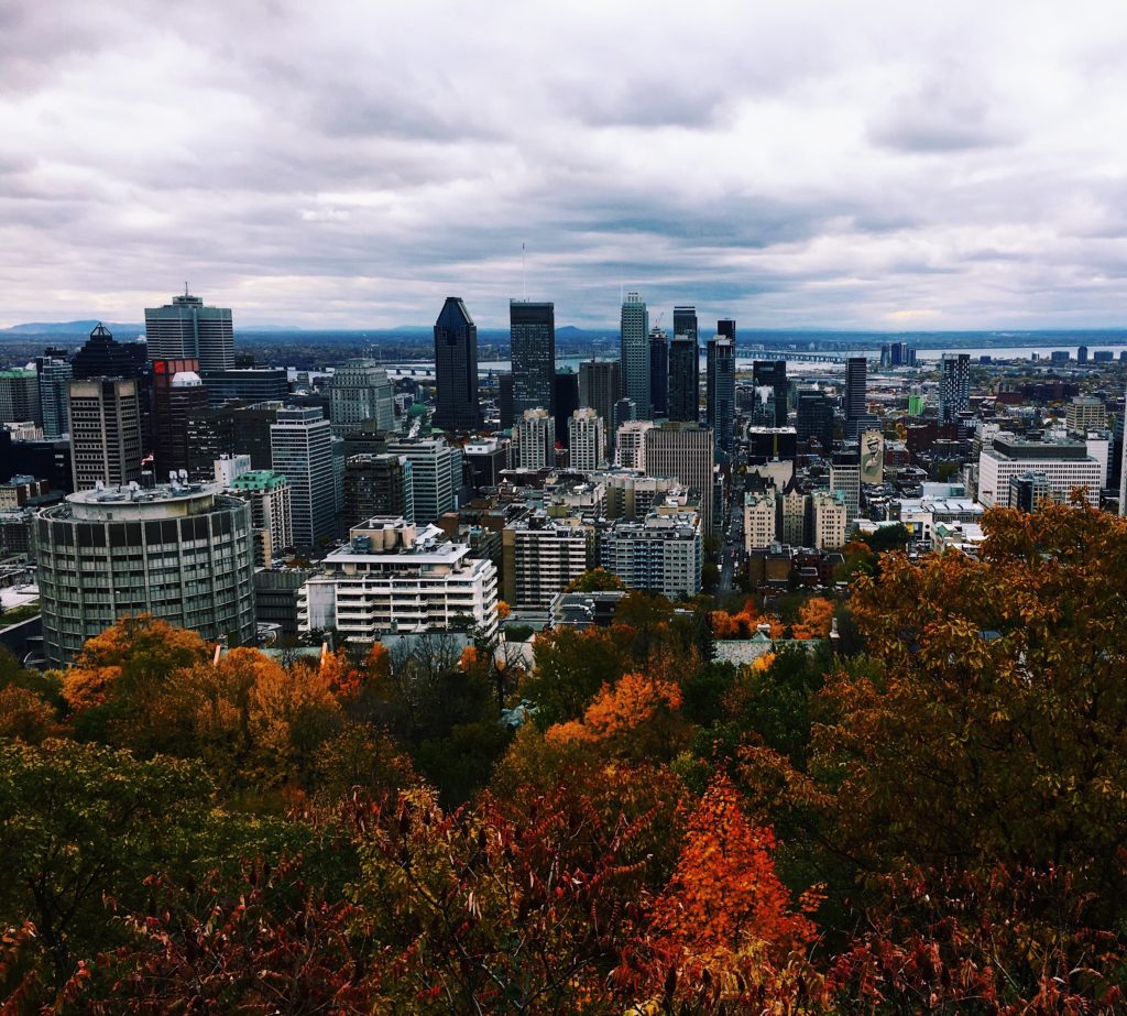 vue mont-royal Montréal